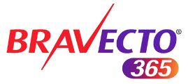 Bravecto 365